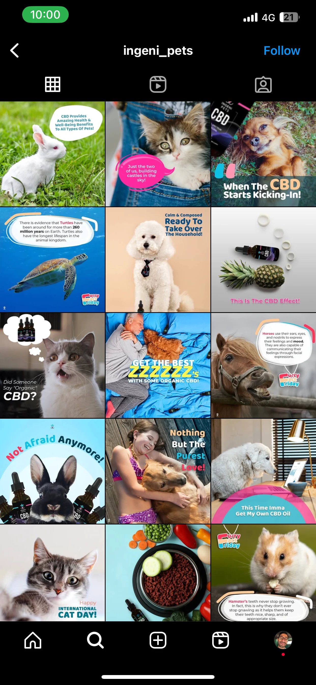 Ingeni IG Content Grid